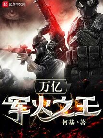 万亿军火之王无防