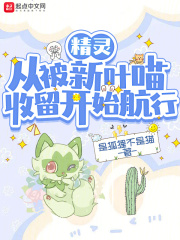 从精灵训