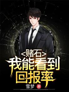 赌石:我能看到回报率