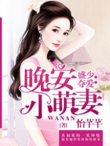 盛少安免费阅读