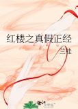 红楼之真假正经