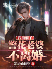 我街溜子,警花老婆不离婚这书名找半天