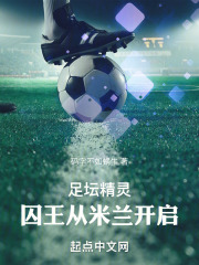 足坛精灵:囚王从米兰开启小说笔趣阁