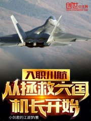 川航机长月薪多少