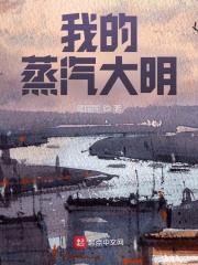 蒸汽大明txt