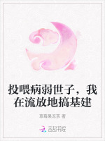 投喂病弱世子,我在流放地搞基建