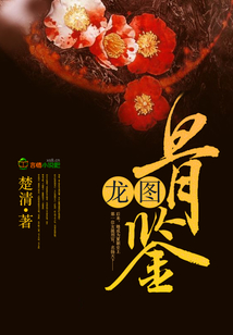 龙图骨鉴有声小说