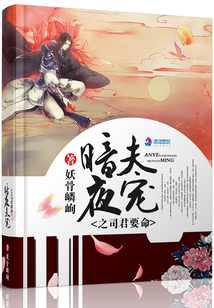 暗夜宠妻太深度