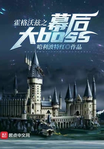 霍格沃兹之幕后大BOSSTXT下载