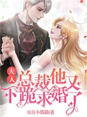 夫人总裁他又下跪求婚了