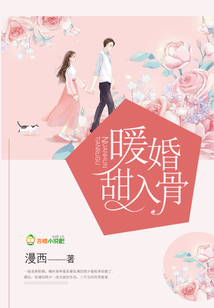 暖婚甜入骨小说