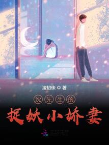 沈先生宠妻有方小说全文免费阅读