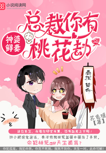 总裁带桃花小说