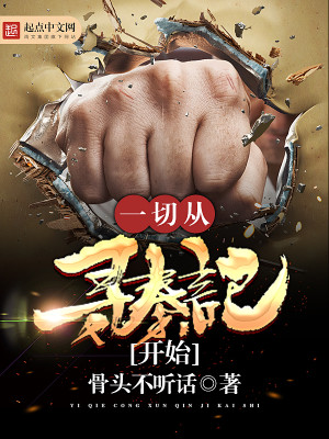 一切从寻秦记开始 聚合中文网