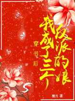 穿书后,我成了三个反派的娘百度