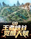 我在王者峡谷觉醒天赋