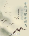 武道乱世:加点只能加耐力