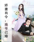 娇妻有令：商爷已婚