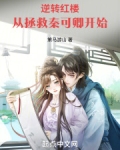 逆转红楼：从拯救秦可卿开始