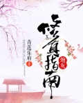 炮灰修真指南