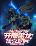 精灵宝可梦:开局黑龙捷克罗姆