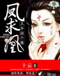 凤求凰：王爷劫个婚