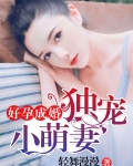 好孕成婚：独宠小萌妻