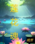 我妻太难追